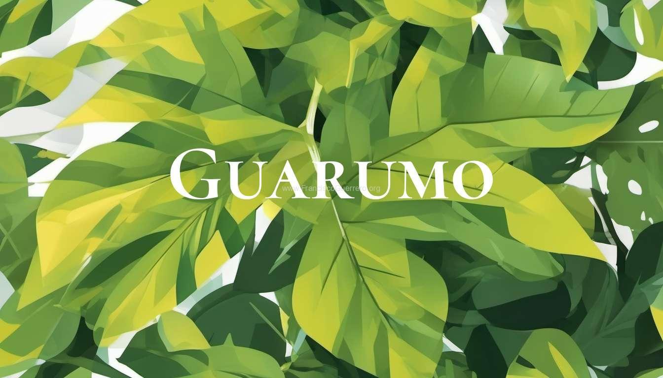 Guarumo
